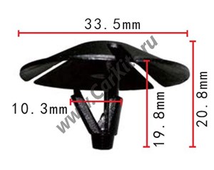 Изображение C552